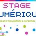 stage numerique 2022